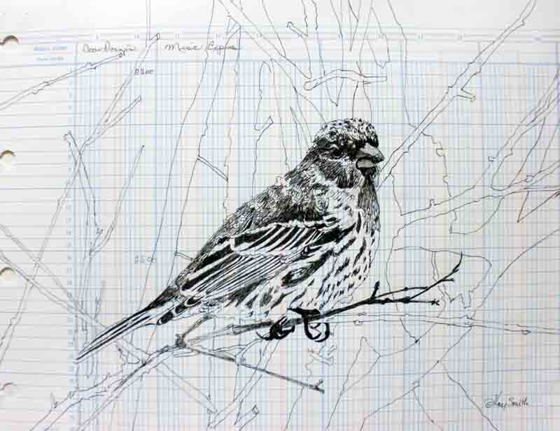 snow bird sketch snow bird sketch