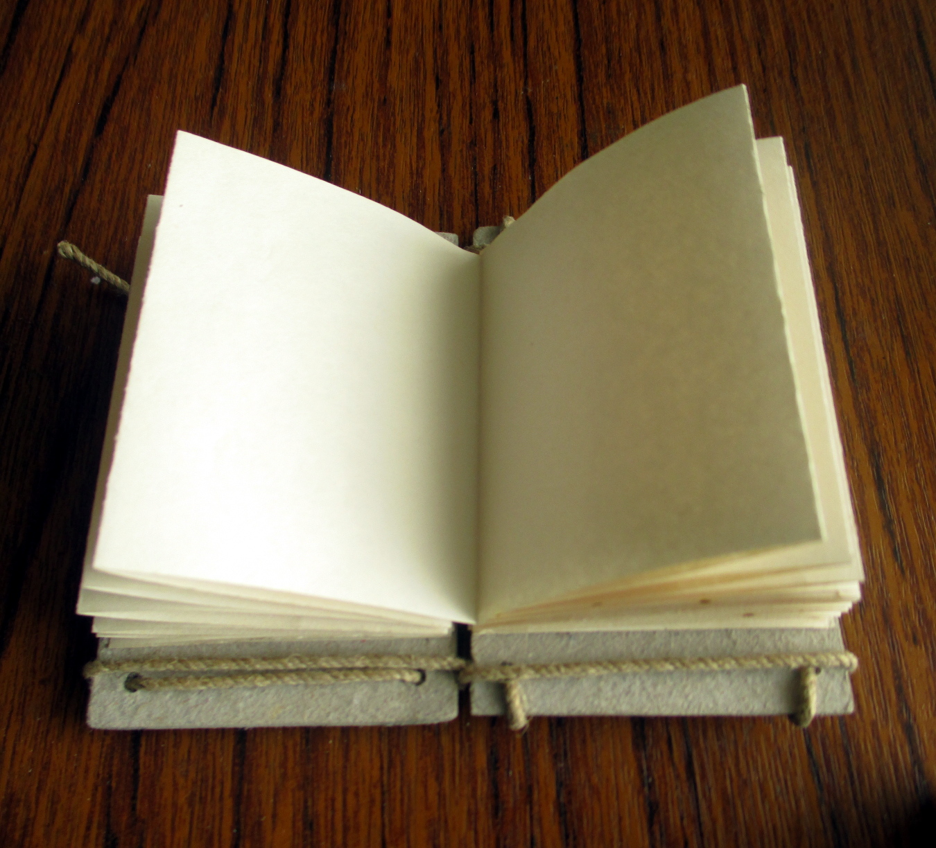 Srjskam Accordion Book with Jacob's Ladder Binding