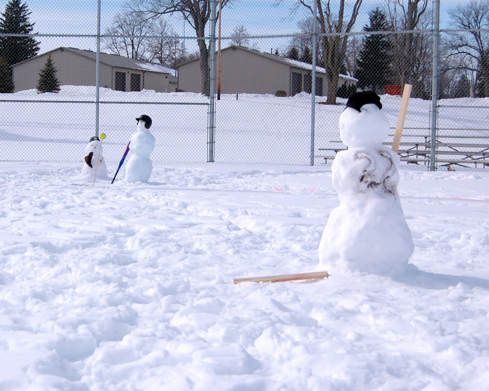 my year of being present Snowball Softball