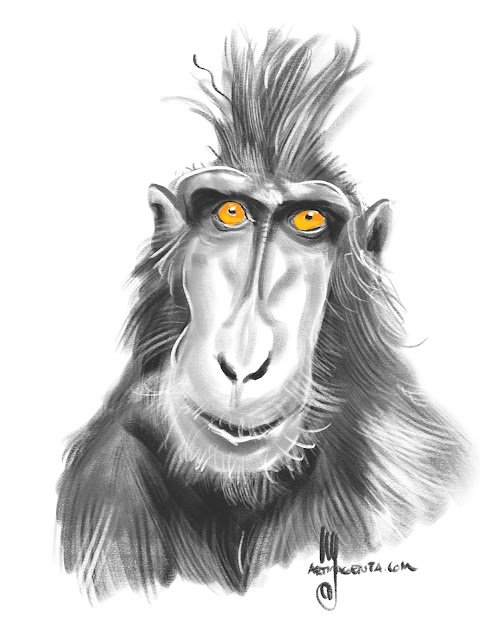 Monkey sketch by Artmagenta