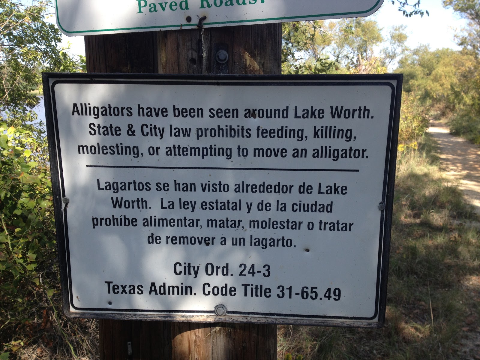 The Shadowy Alligators of Lake Worth October 2012