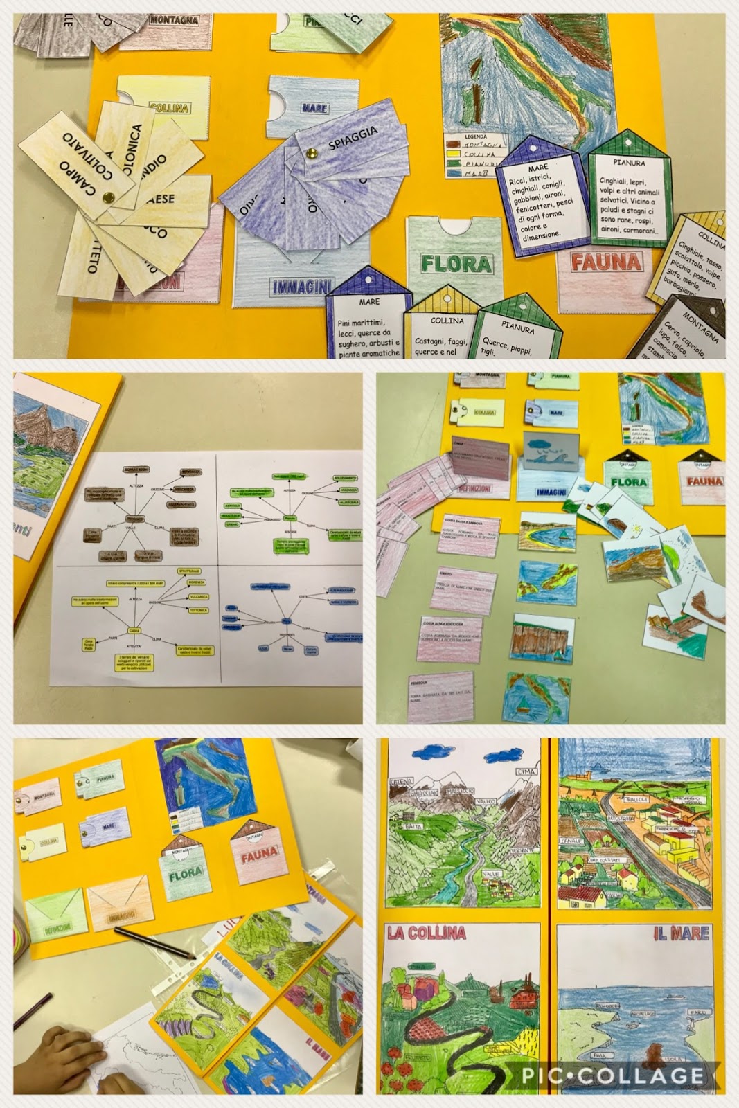I Colori Della Scuola Primaria Pon Facile Come Studiare