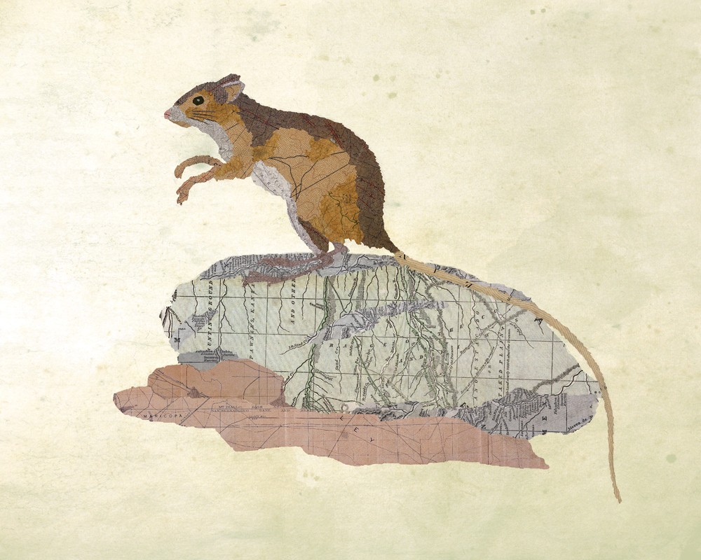 09-Wood-mouse-Jason-LaFerrera-Cartography-Shaped-to-make-Map-Animals-www-designstack-co