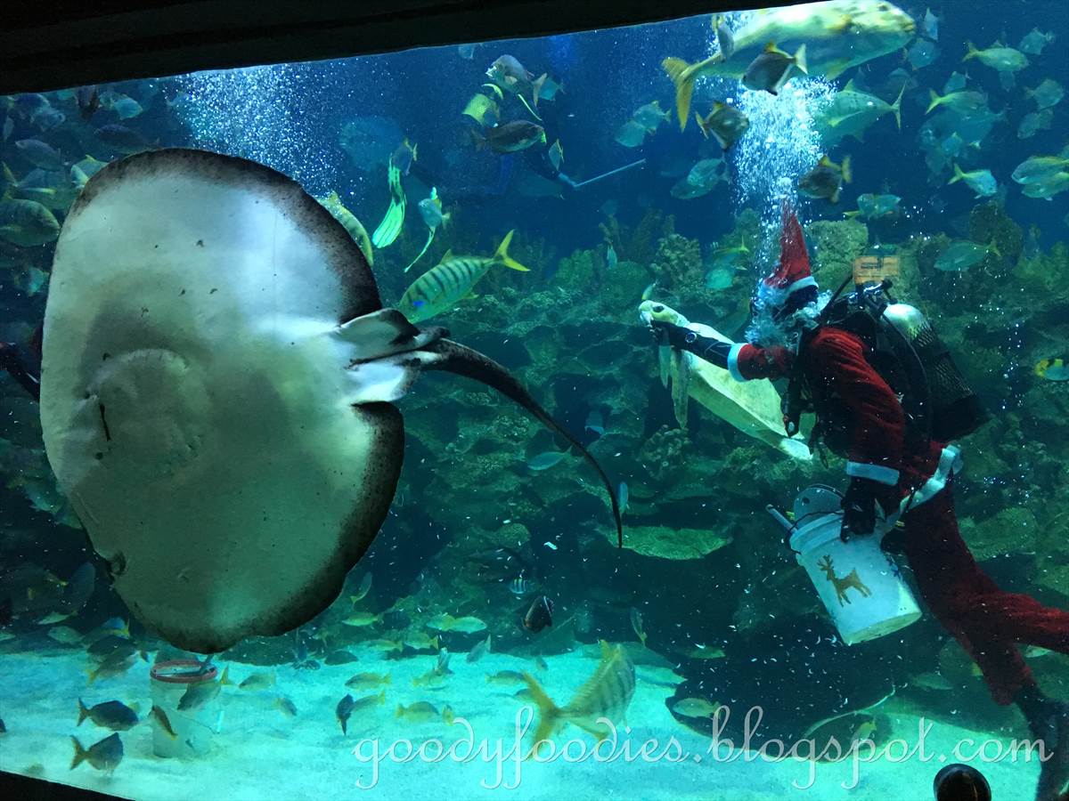 GoodyFoodies Mermaids Aquaria KLCC, Malaysia