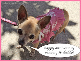 anniversary wishes | via baileyunleashed.com