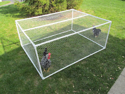 chicken run pvc tractor portable plans chickens coop tree wired weight coops diy build simple runs movable pen fence lightweight