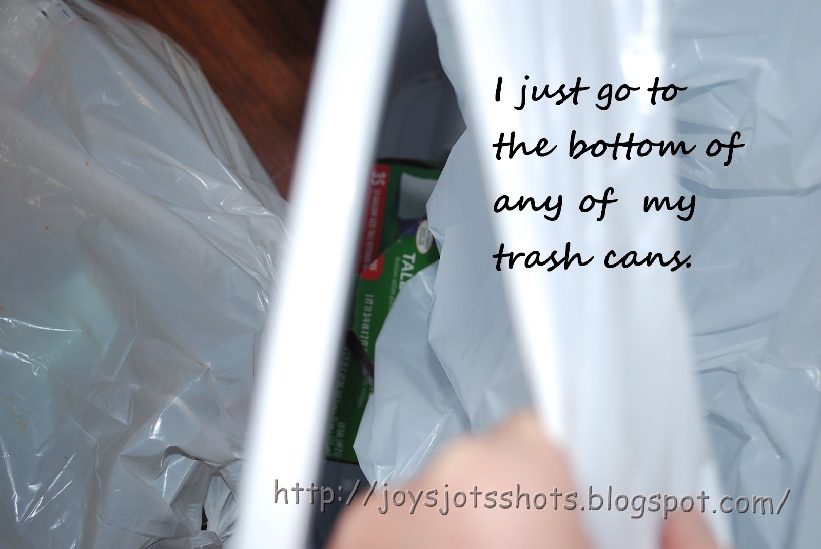 Joy's Jots, Shots & Whatnots Where do You Store Garbage Bags?