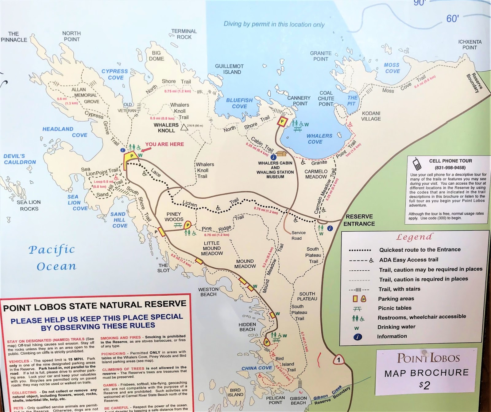 Bay Area Day Trips Point Lobos - IMG 2855%2B%25282%2529.JPG