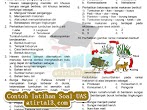 Download Soal Latihan Uas Sd Terbaru