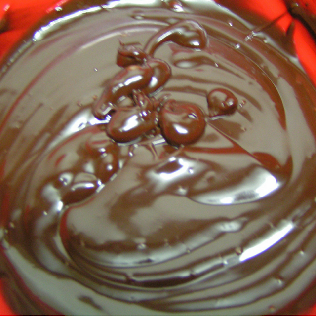 Trufas de chocolate - Morrico Fino