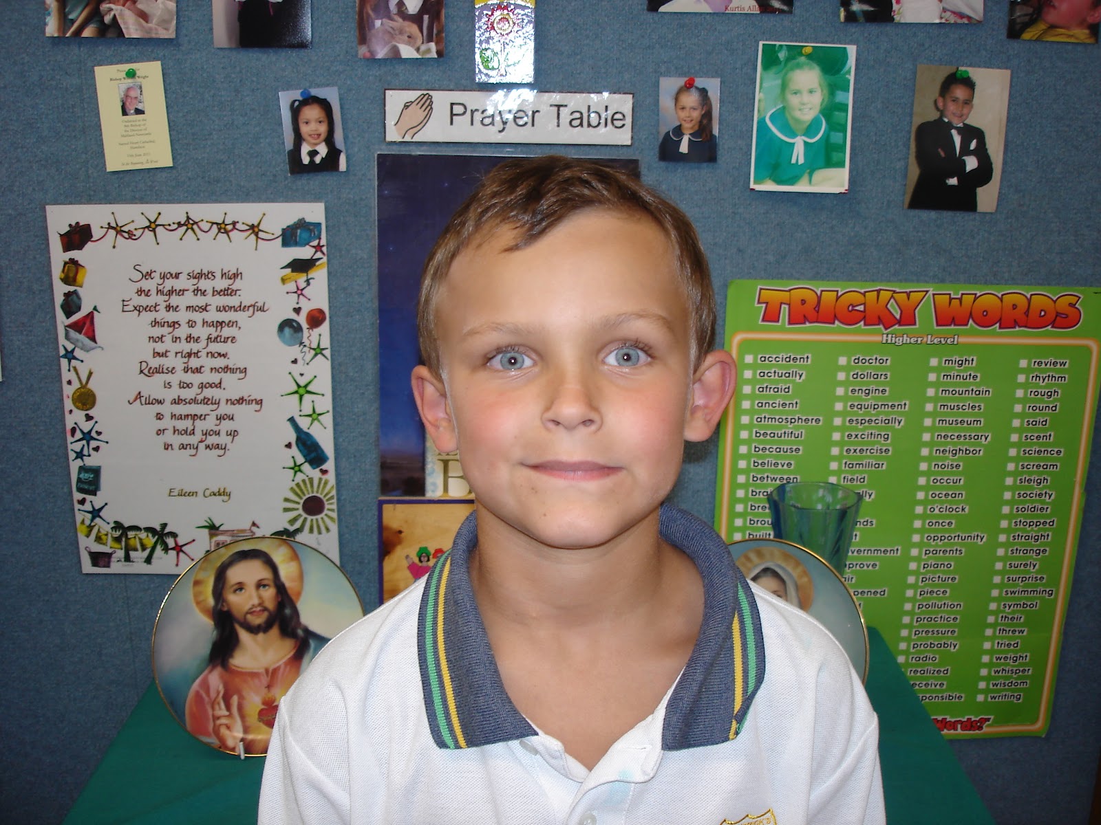 St Patrick's Cessnock Library September 2012