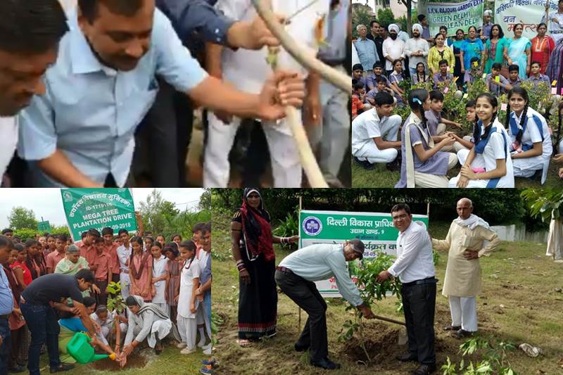 Tree Plantation Essay In Hindi वृक्षारोपण पर निबंध IK Studies