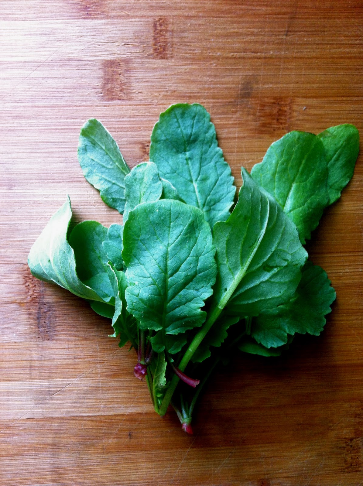 Slow Club Cookery. Vegan Radish Greens Pesto