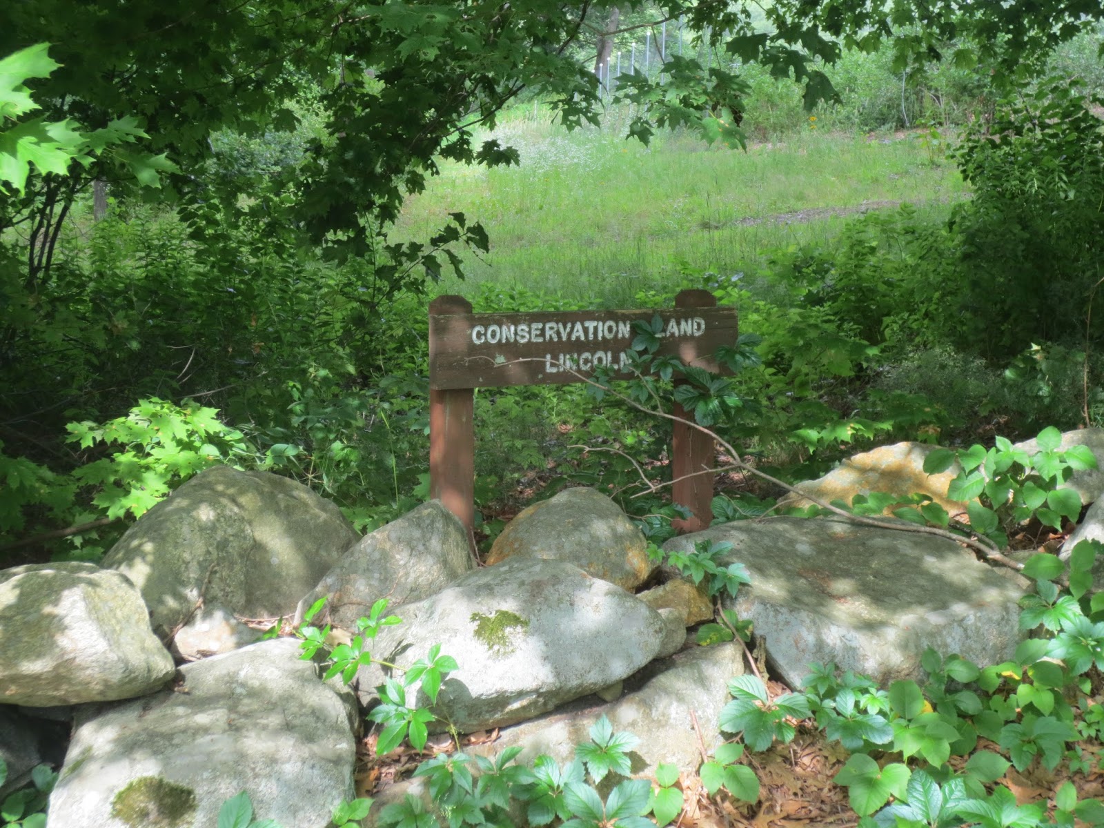 Bay Circuits Bay Circuit Trail Lincoln MA. Walden Woods to Farrar Pond.