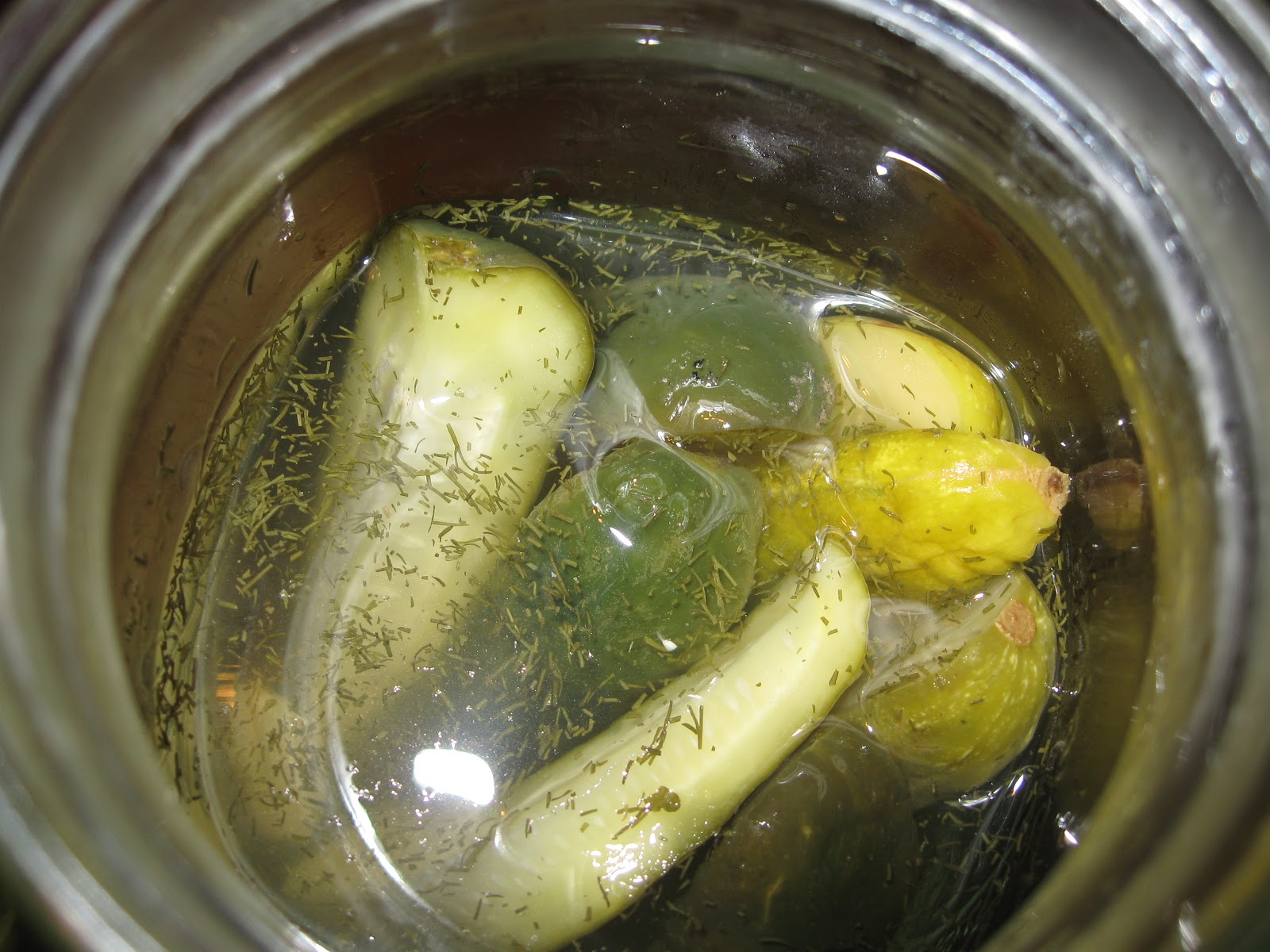 Snozzberry Pie Dill Pickles