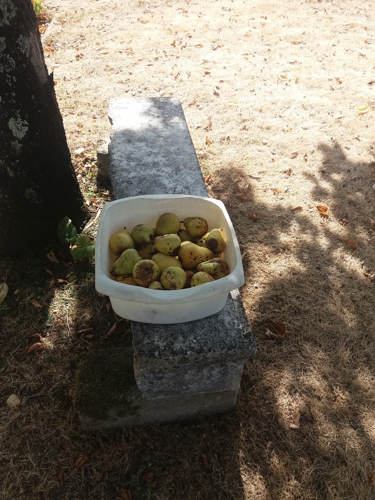 Jevousdonnemapaix Une compote de poires, ça vous tente?