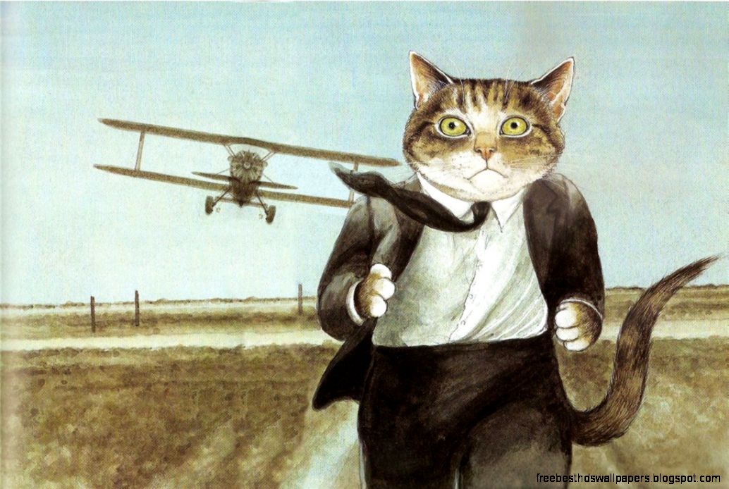 Funny cats Artwork  Download HD Wallpapers