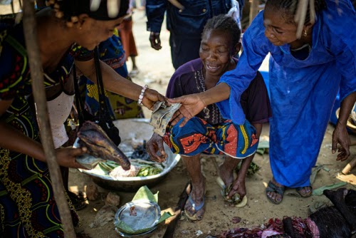 Women selling bushmeat at a market photo by Ollivier Girard CIFOR