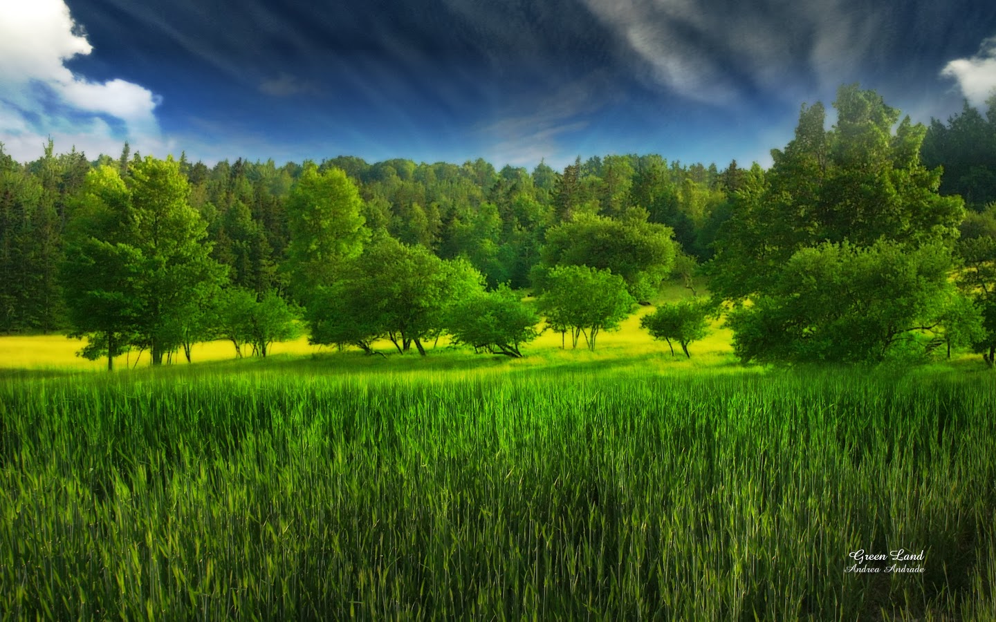 HD Green Landscape wallpapers - Mobile wallpapers