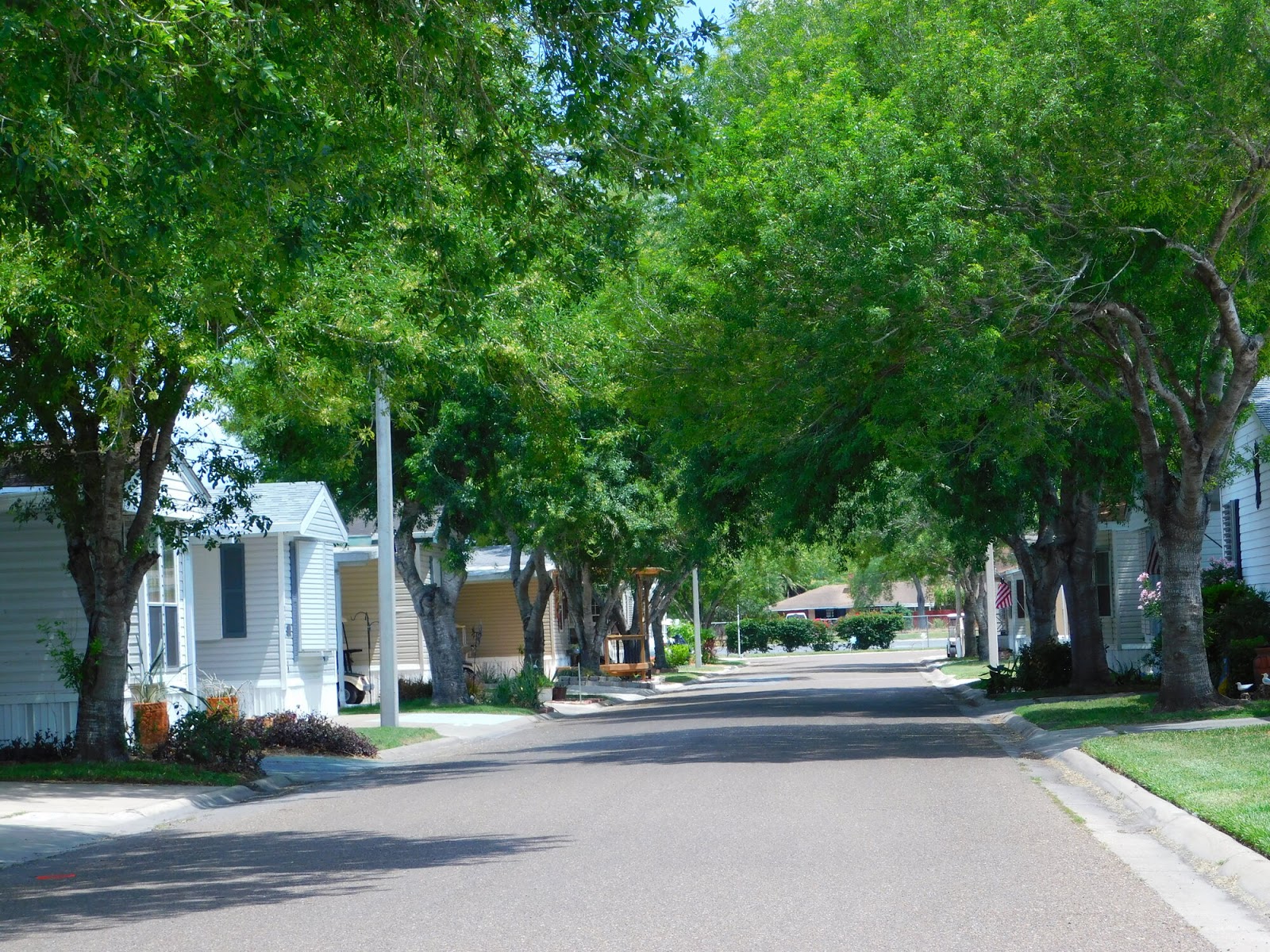 Passport America Site Seers Park Place Estates RV Resort, Harlingen