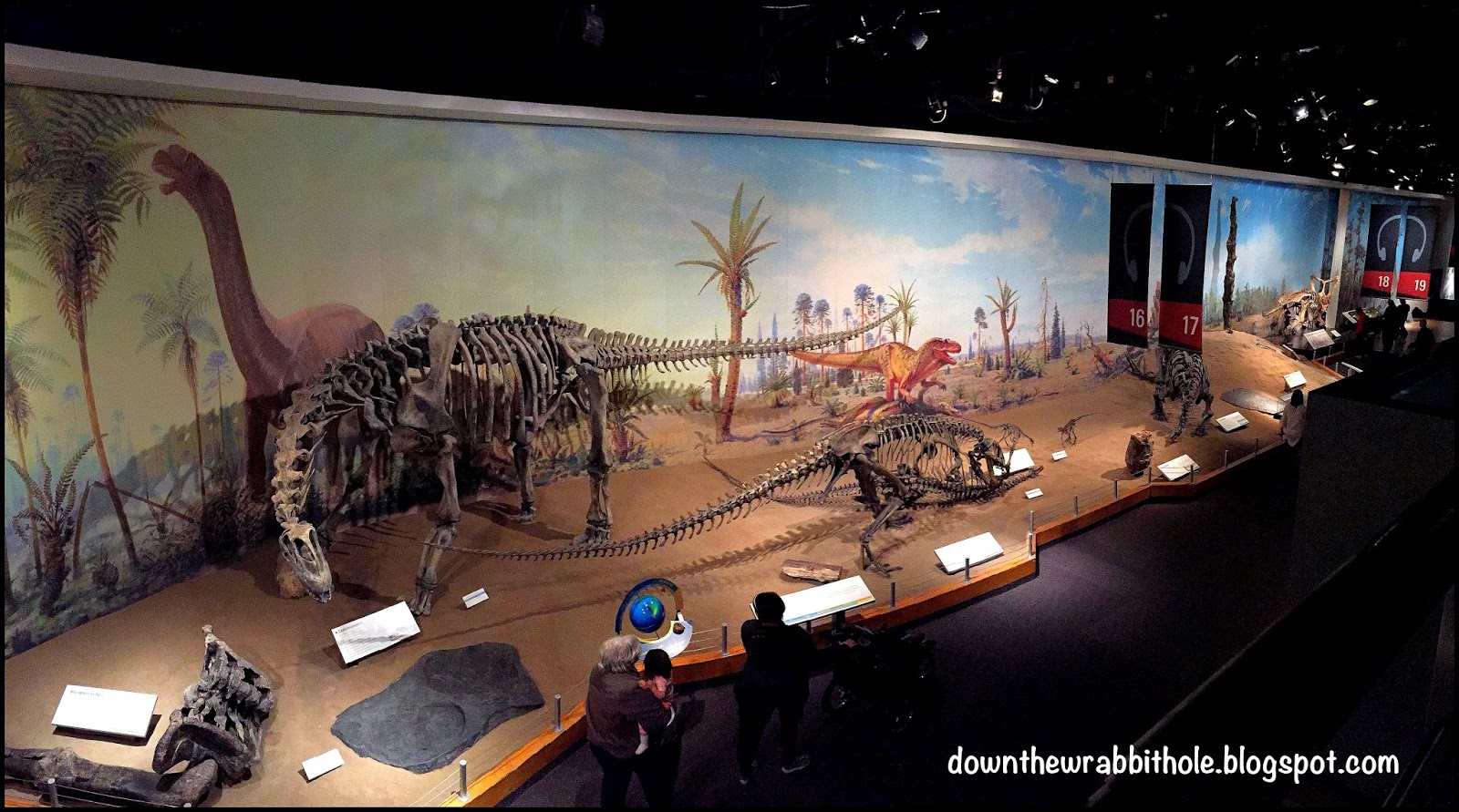 dinosaur provincial park royal tyrrell museum
