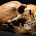 Неандерталците винаги са били "обречени", твърди ново изследване 