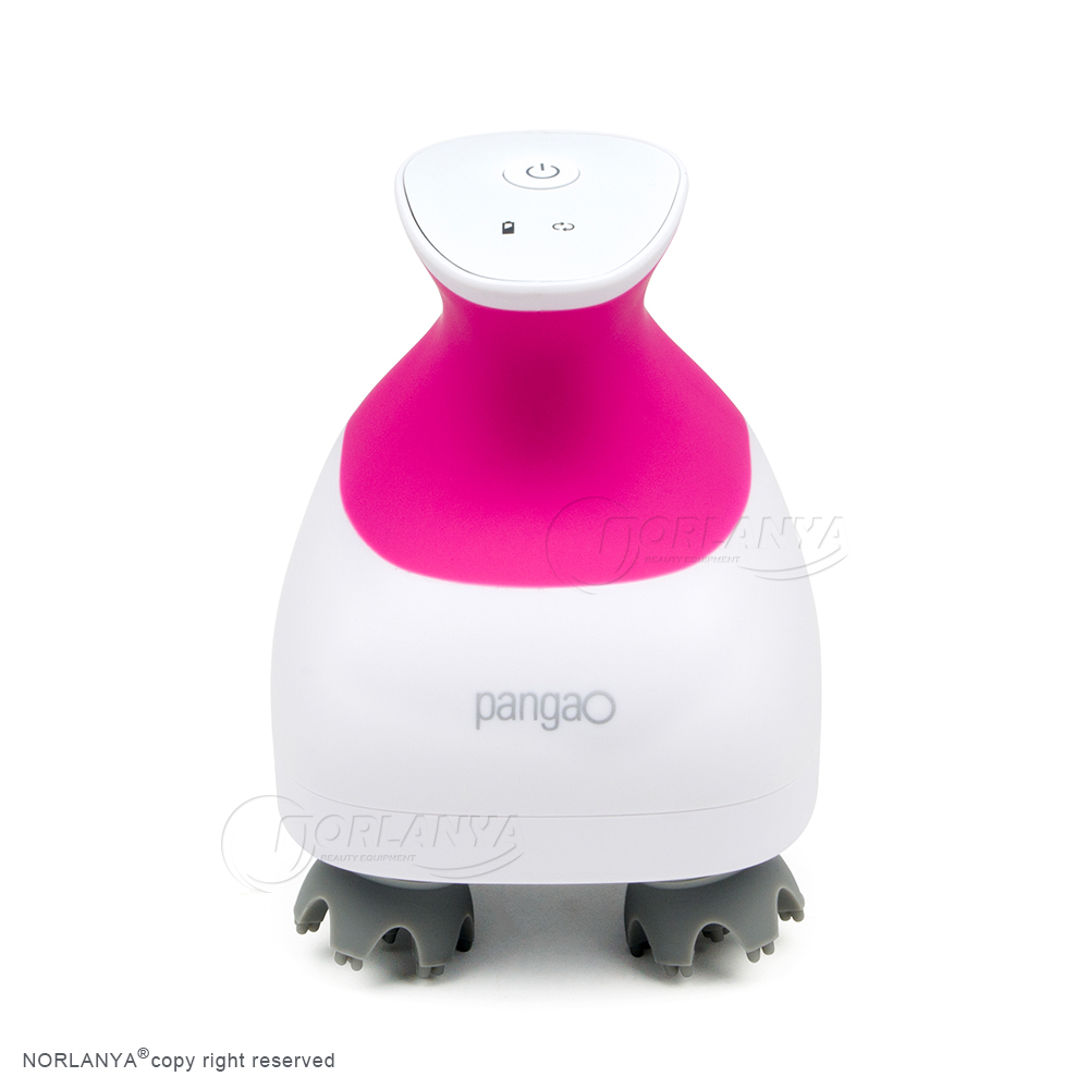 norlanya Smart Scalp Massager