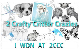 2 Crafty Critter Crazies