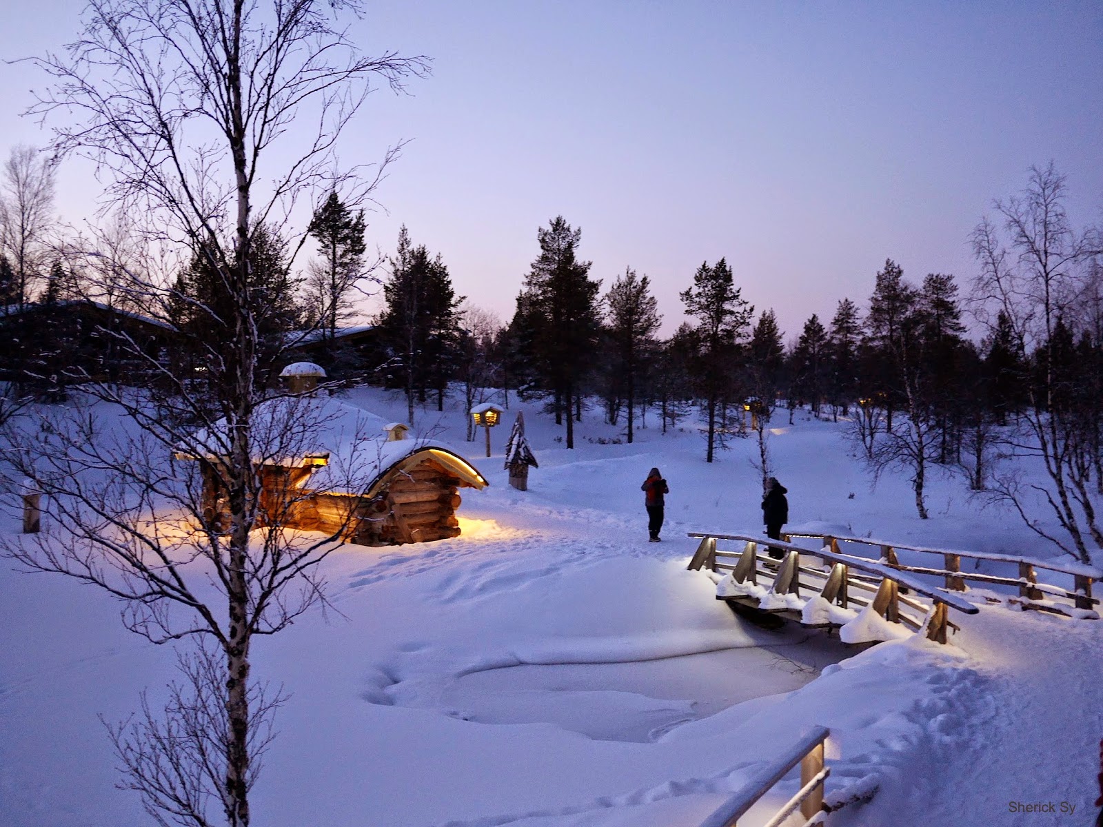 Jamie Amazing Northern Lights at the Glass Igloo Village