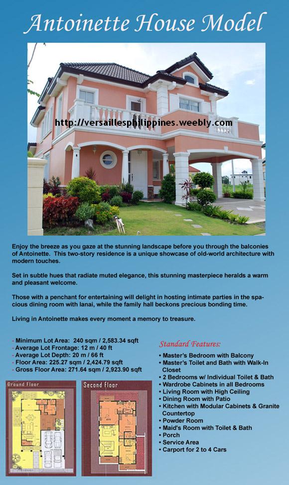 House for Sale Philippines Realty VERSAILLES LAS PINAS VIA DAANG HARI