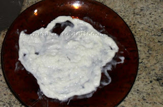 Kefir Alimento Probiótico