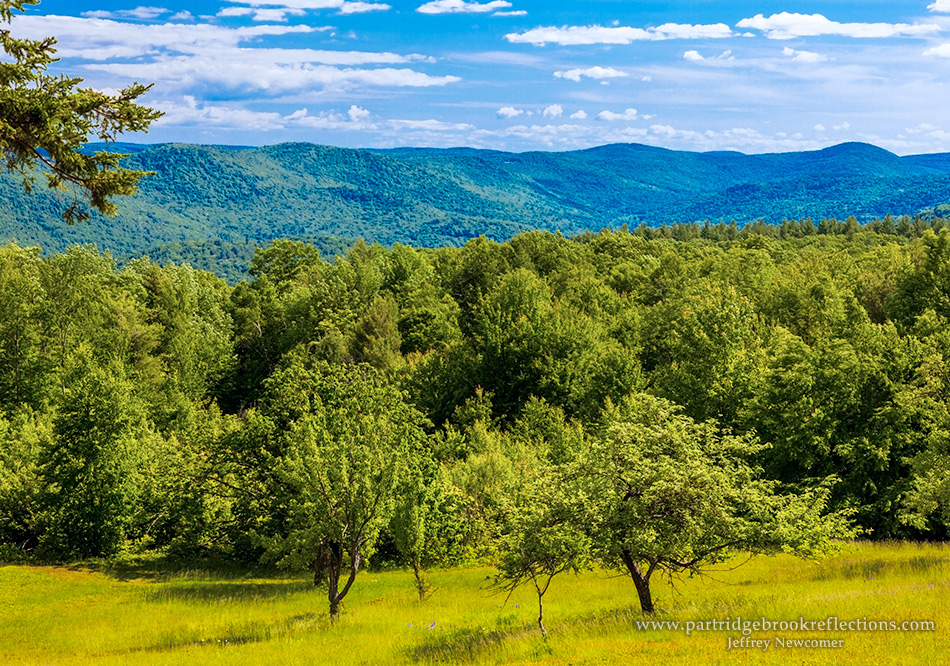 Getting it Right in the Digital Camera Newfane Vermont Album