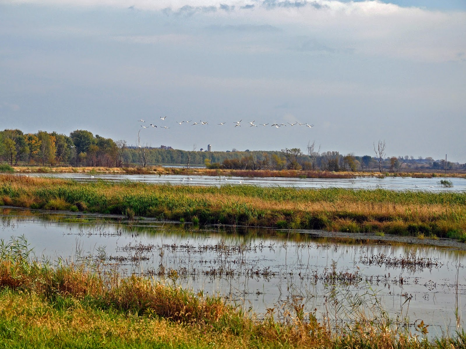 It's The Journey... Goose Pond and Autumn in Indiana