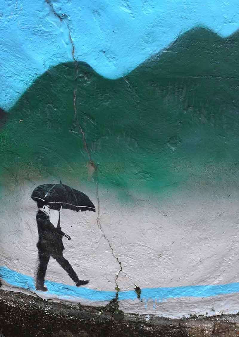 Bellingen area The Big Blueberry on the North Coast of NSW