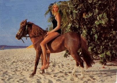 Horseback riding in Diamond Lake