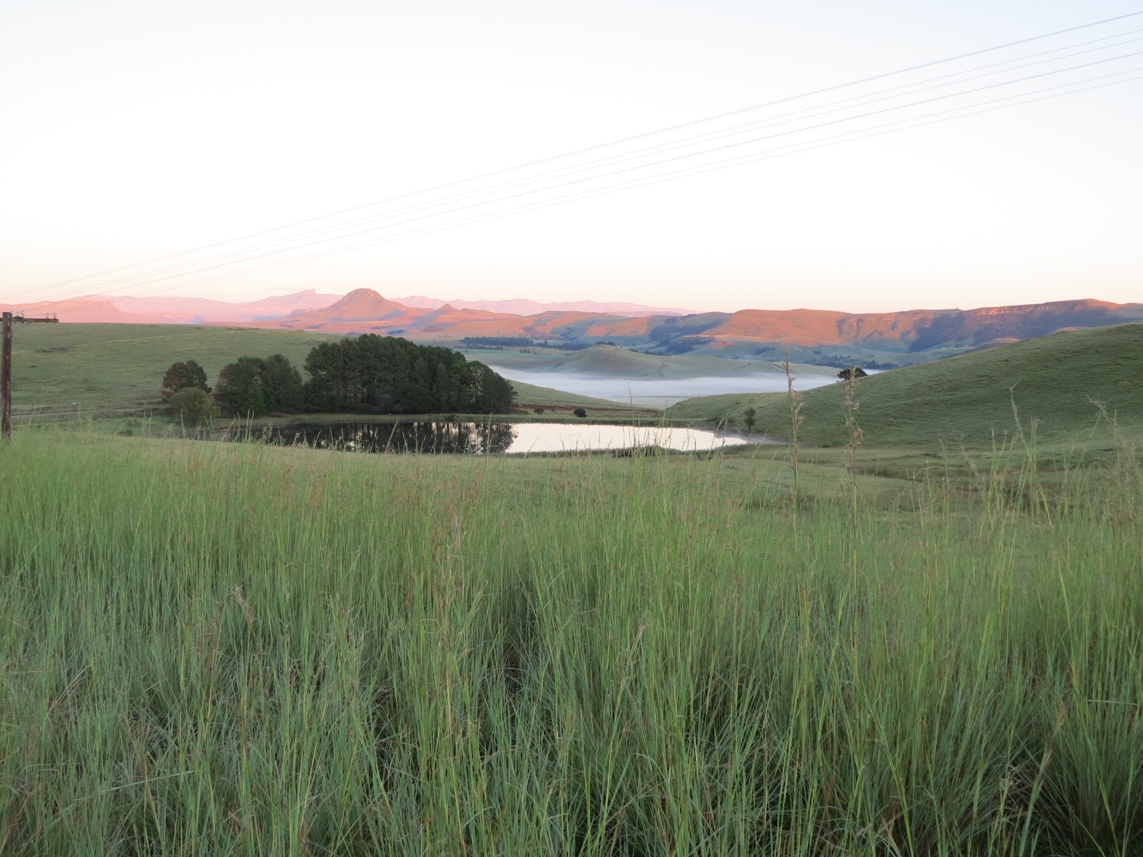 drakensview: Road to Loteni (1)