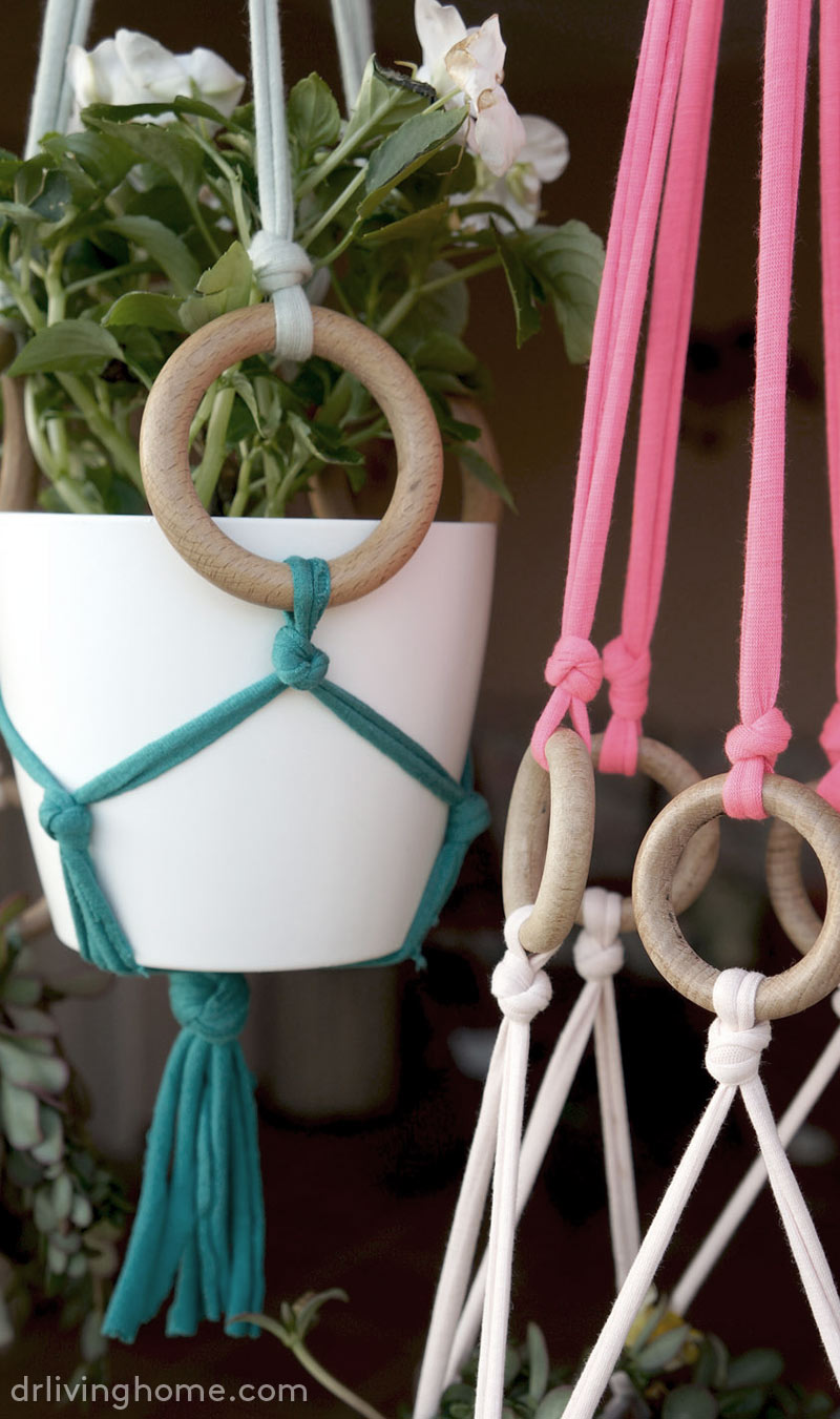 Macetas diy para decorar con plantas