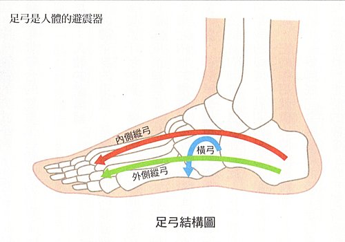 足踝筆記 腳底的疼痛 不只是足底筋膜炎