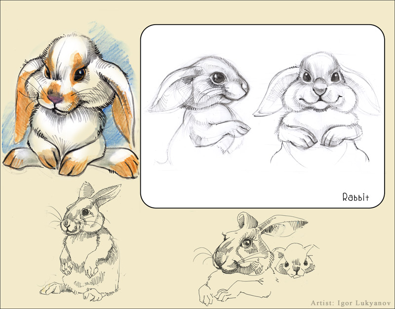 Cute Stuffed Animals