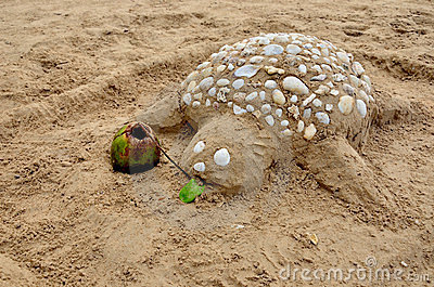 Tortuga hecha en arena por niños