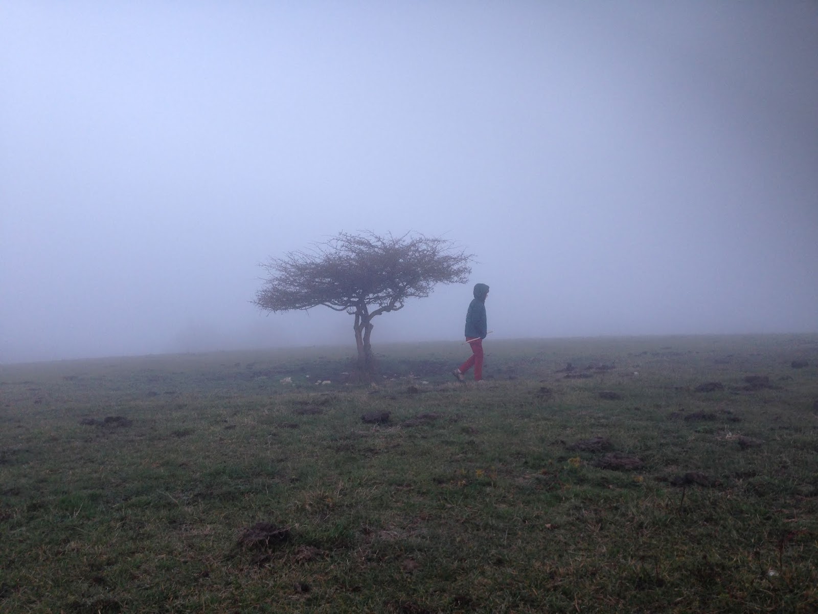 YvesNoël Genod, le dispariteur L 