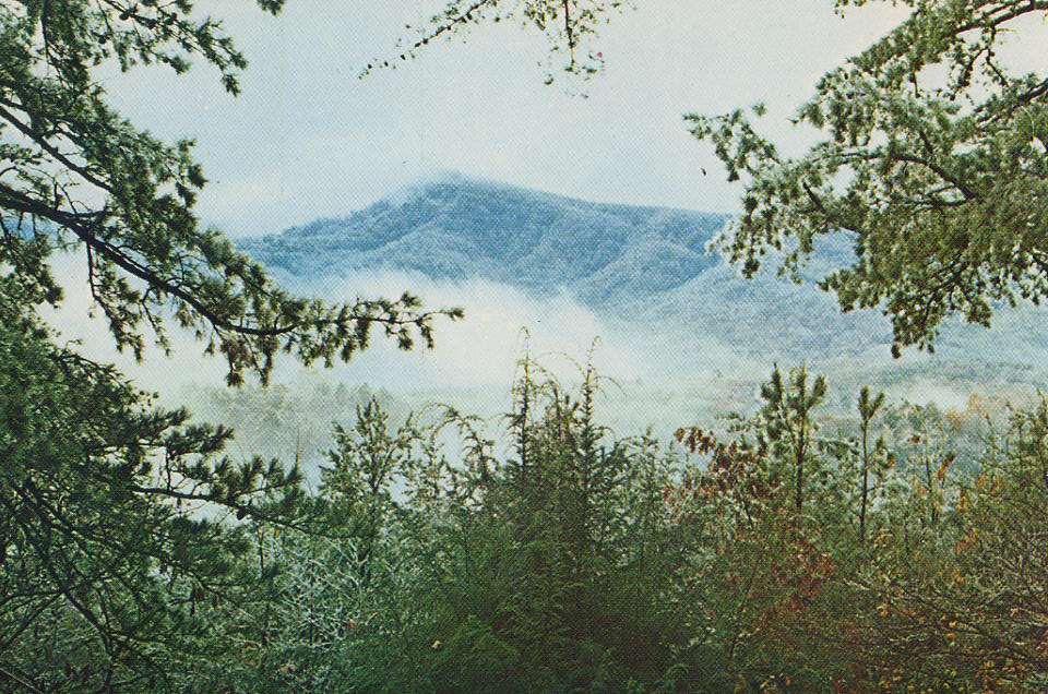 Tryon High School Class of 1971 April 2011