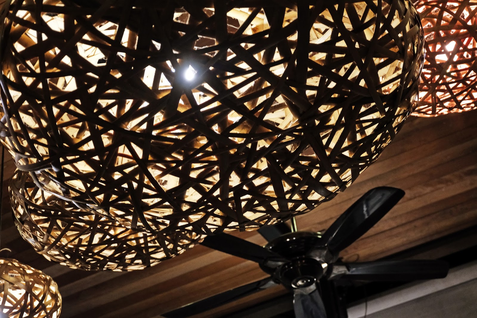 Botanic Gardens Halia at the Ginger Garden theMOOSE makan travel 画画 * a Singapore food and