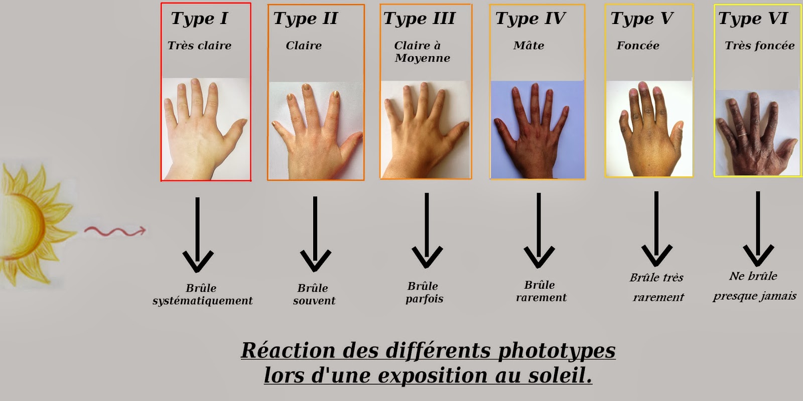 TPE, Mélanine et Soleil B) Le rôle protecteur de la mélanine