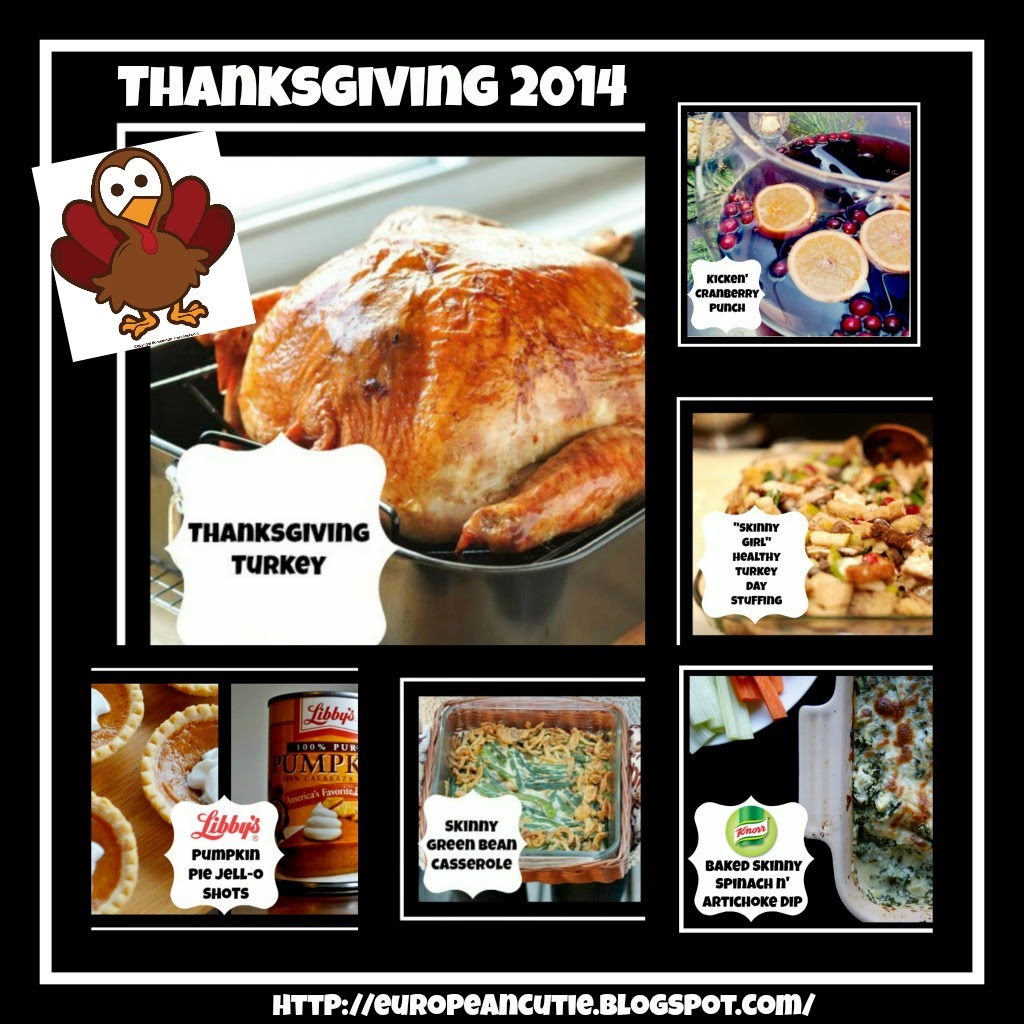 Chicago museum open thanksgiving
