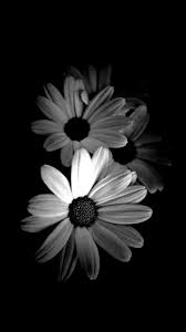 Black And White Mobile Wallpapers - Easy Pic Download