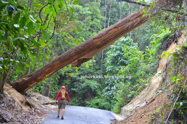 Trekking at Hutan Lipur Gunung Pulai Recreational Forest in Johor Malaysia Hutan-Lipur-Gunung-Pulai-Recreational-Forest-Johor-Malaysia