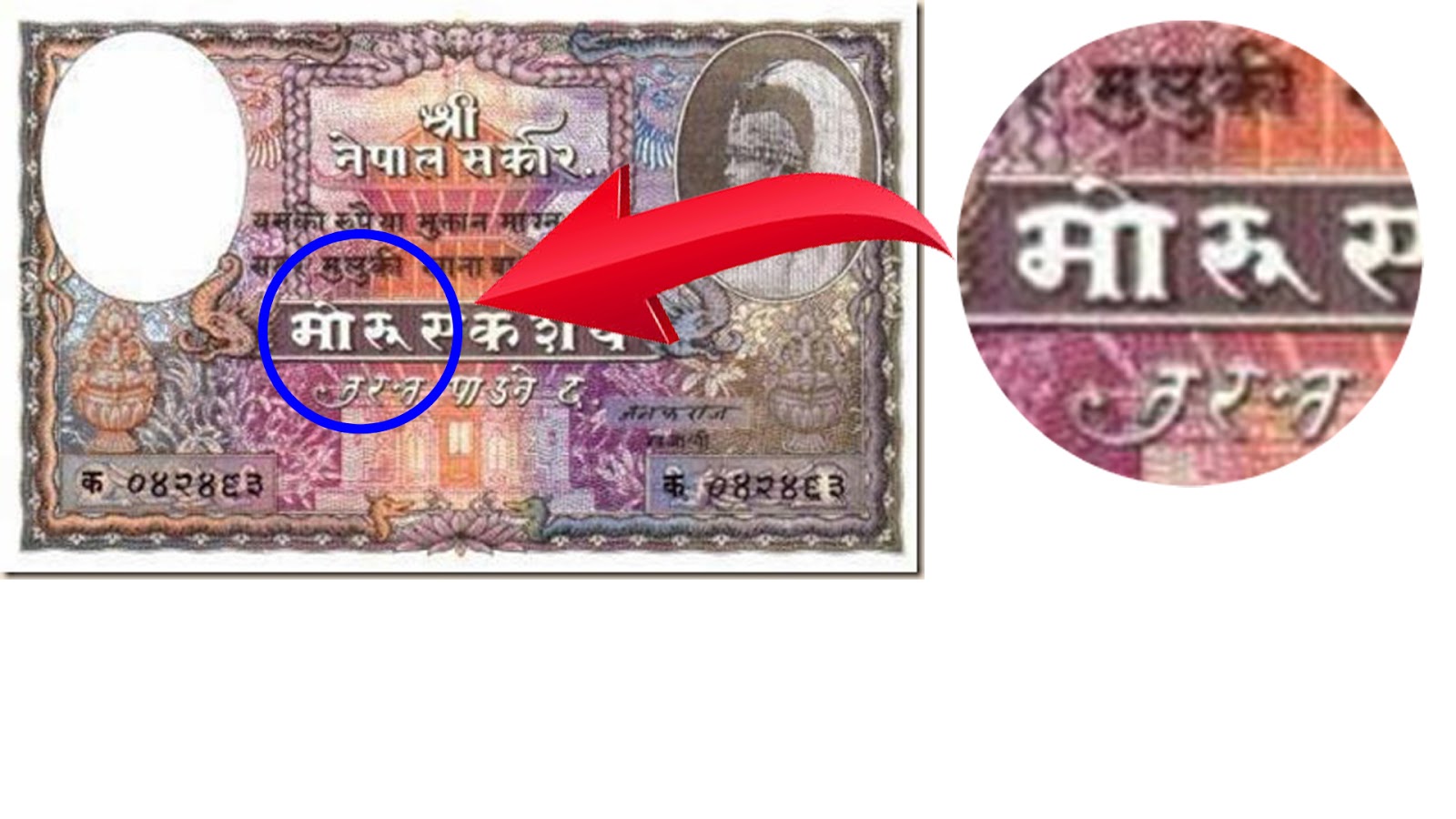 Top 5 Facts You Might Not Know About Nepali Currency
