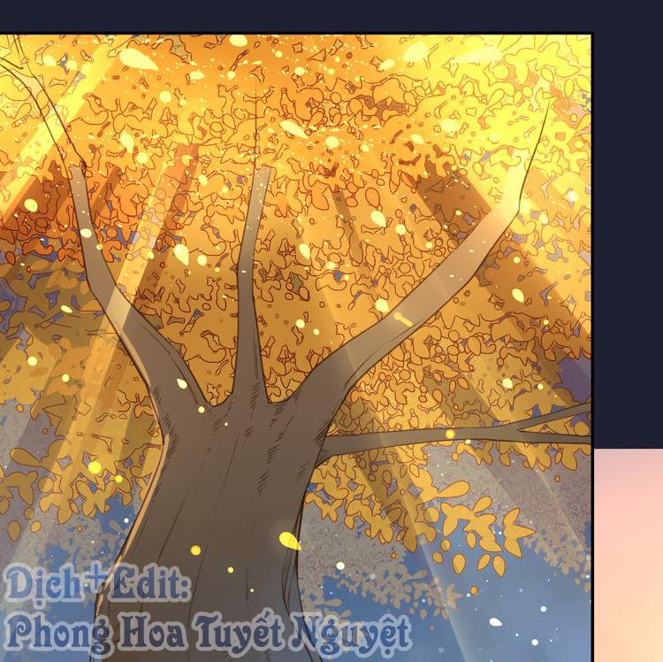 Cẩm Lý Quy Chap 1 - Next Chap 2