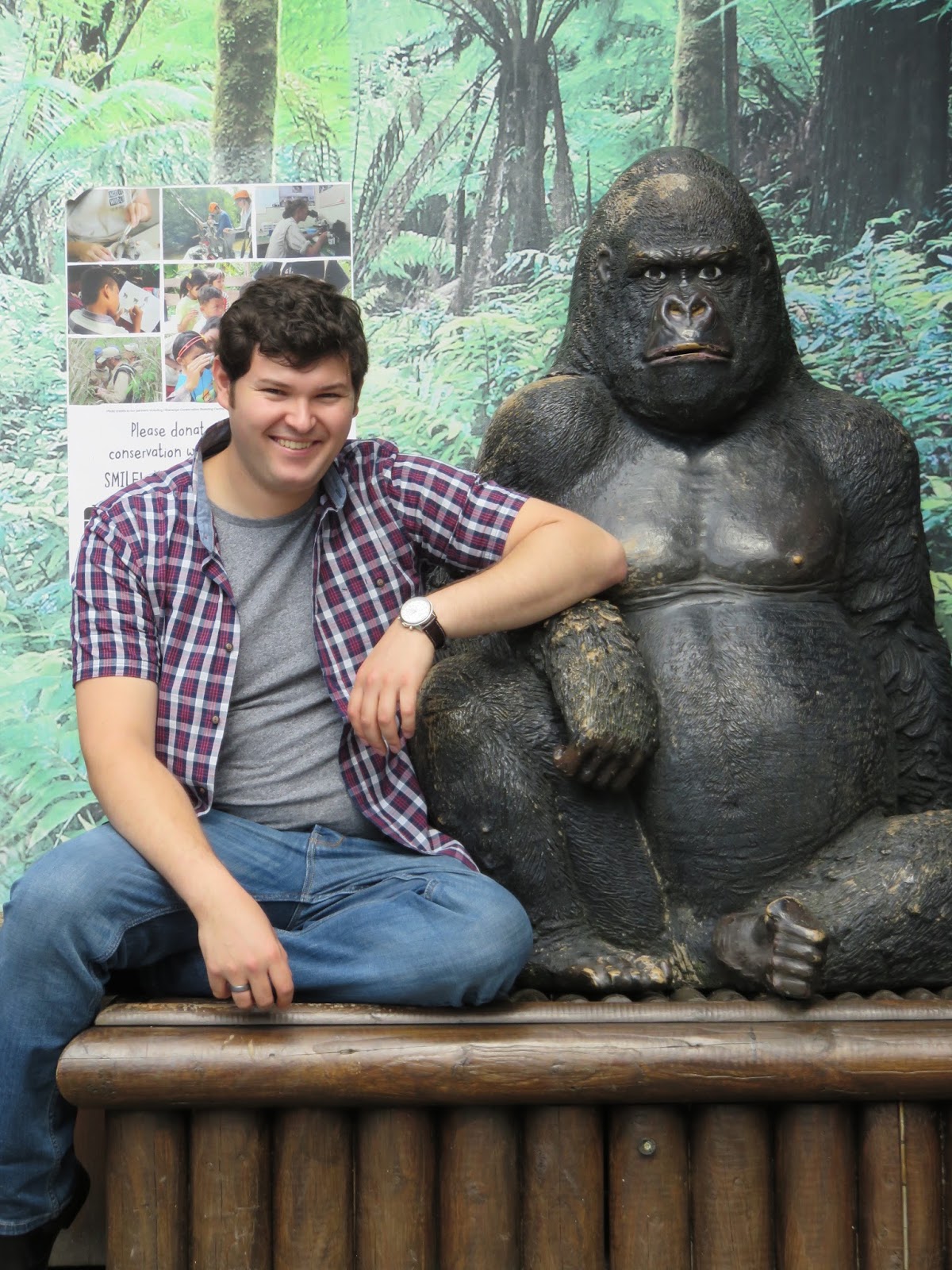 Disabled Travel With Georgina Chester Cathedral Chester Zoo
